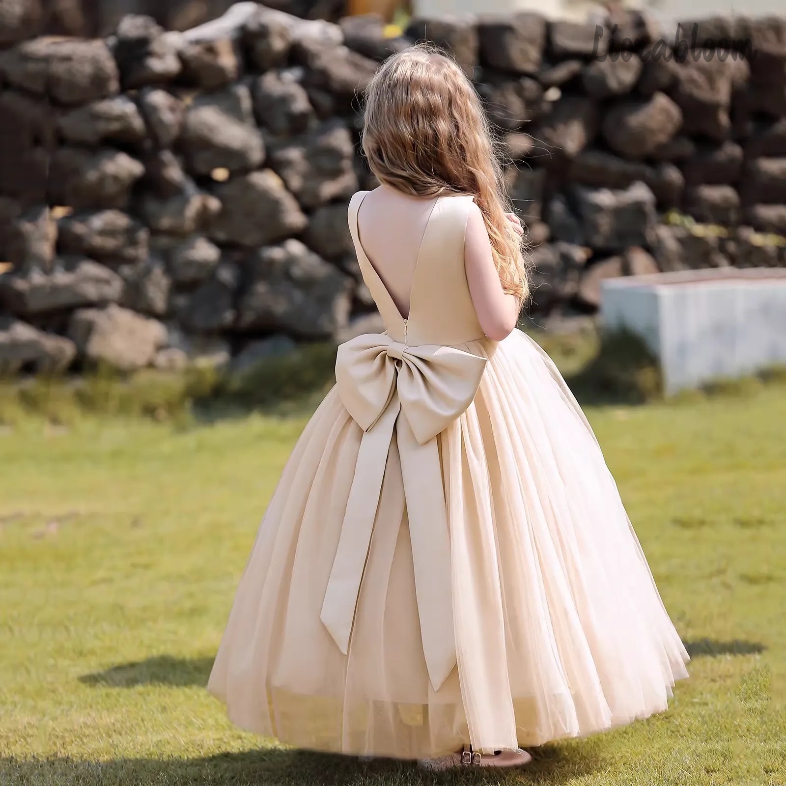 Multicolor Backless Princess D - Women'S Formal Wear For A Wedding incelemesi ve fiyatı